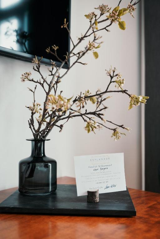 Galería fotográfica de Hotel Esplanade en Gmunden