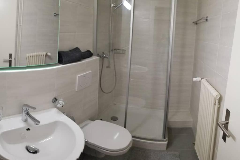 a bathroom with a shower and a toilet and a sink at HSH Barre 6 - City Apartment next Cathedral Lausanne in Lausanne