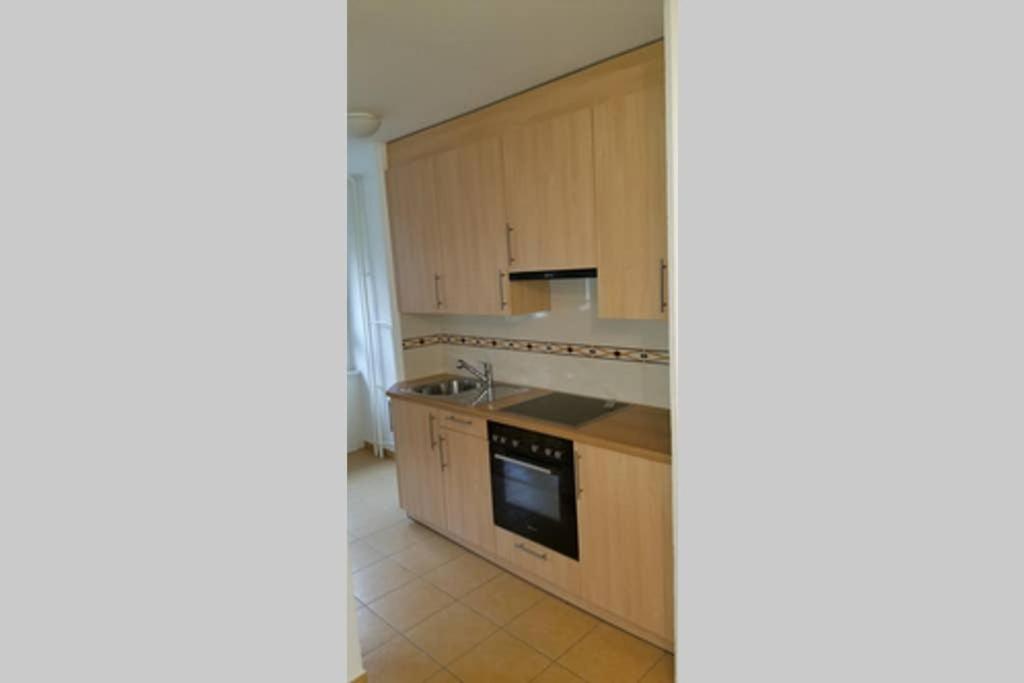 - une cuisine avec des placards en bois et un évier dans l'établissement HSH Boston - Moderne Junior Suite-Apartment 36 m2 - Lausanne, à Lausanne