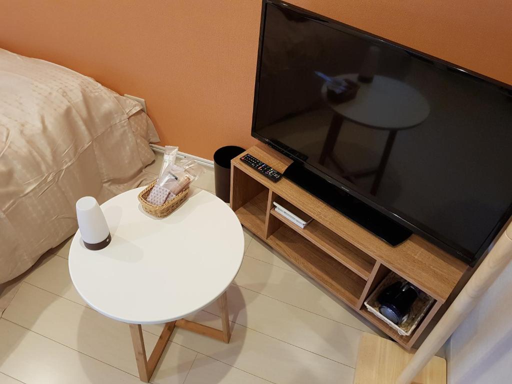 TV a/nebo společenská místnost v ubytování Guesthouse Zink