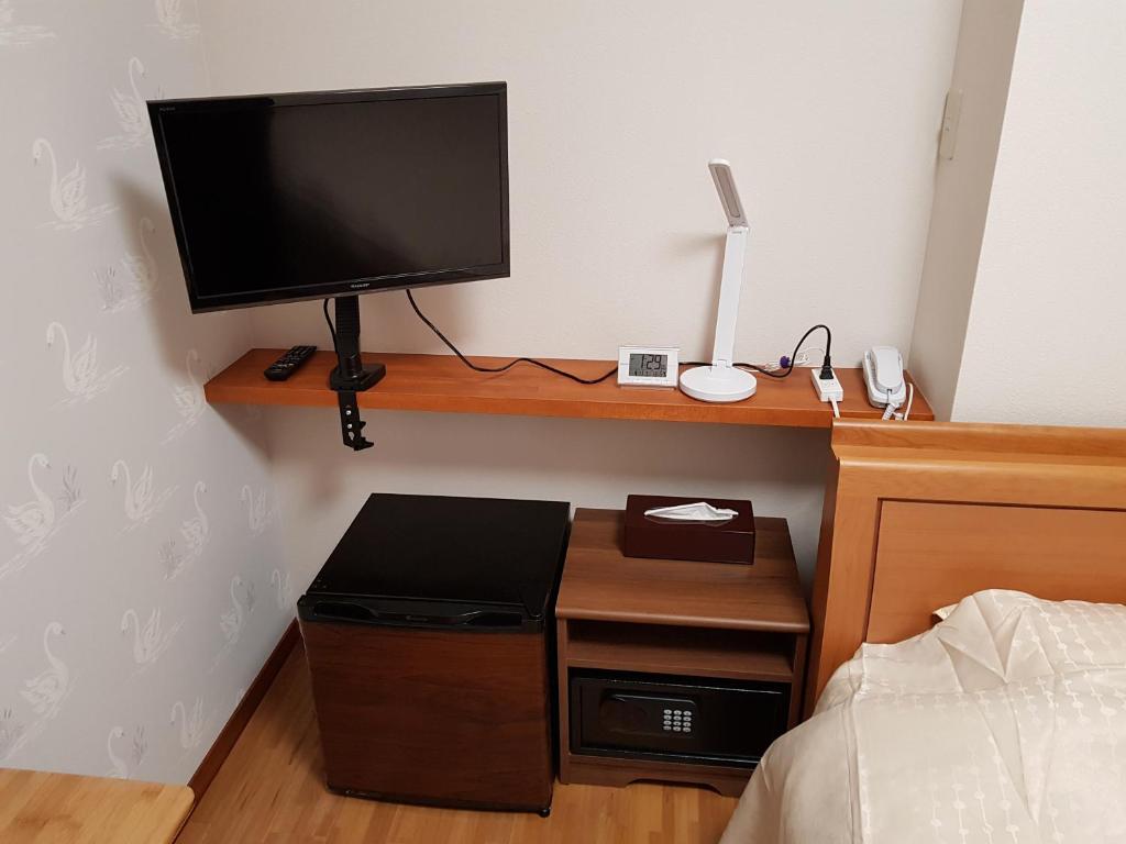 TV a/nebo společenská místnost v ubytování Guesthouse Zink