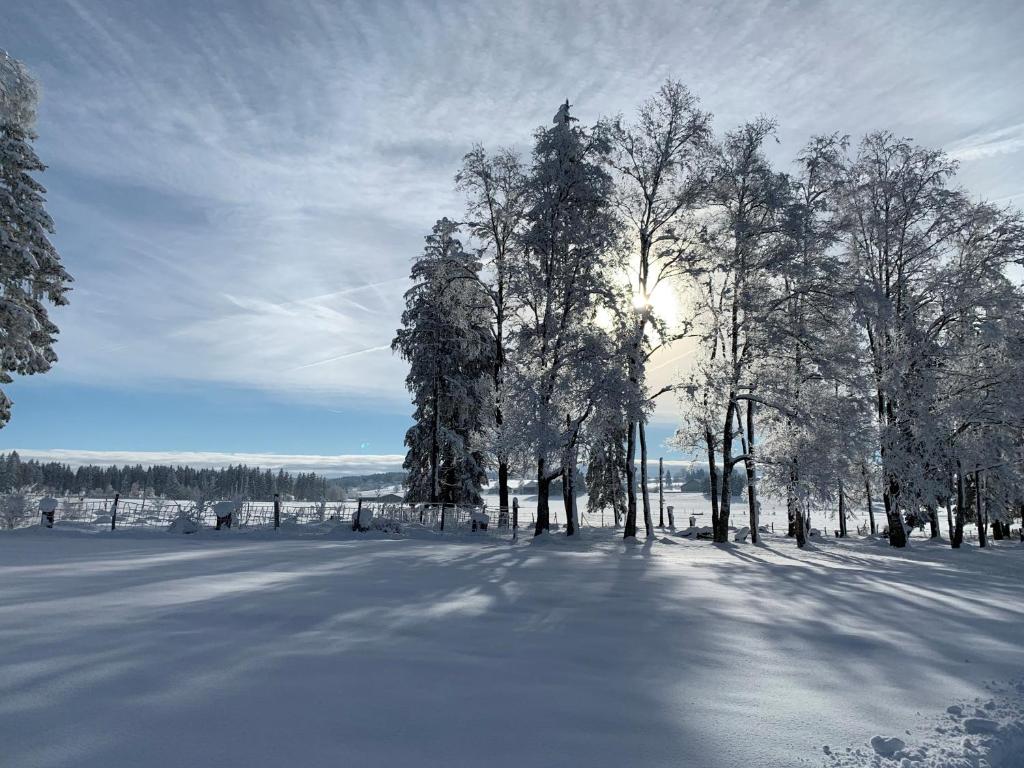 Vent_du_Nord talvel