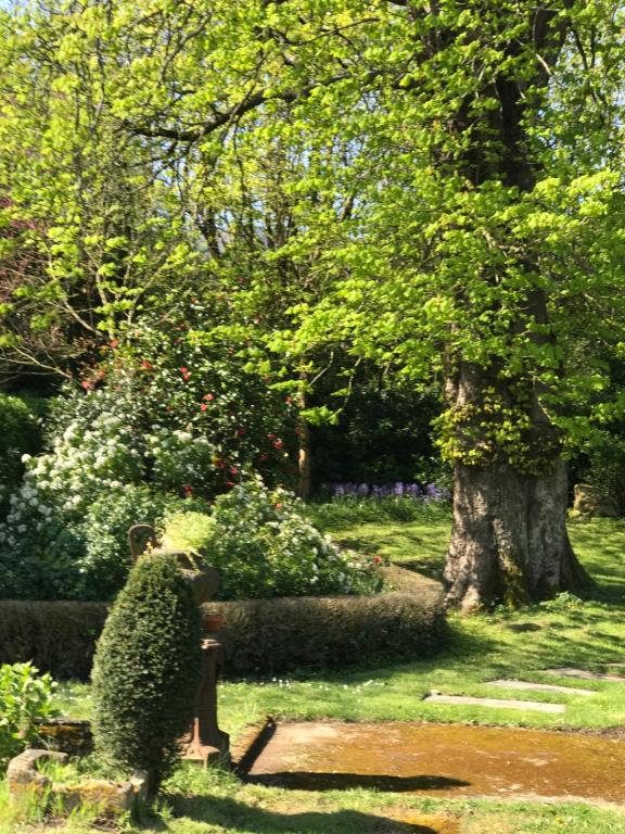 Giardino di Residence le Petit Paradis