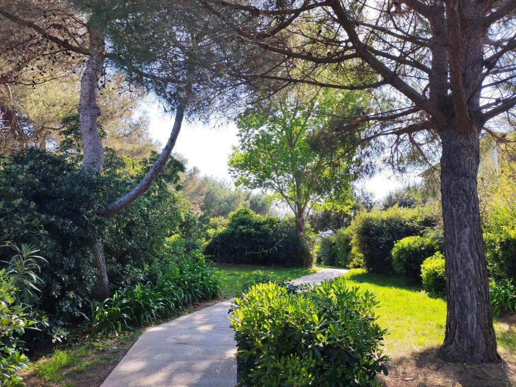 Domaine de La Coudouliere, Vue Mer, Plage, Piscine et Parc - Appartamento Con Una Camera Da Letto