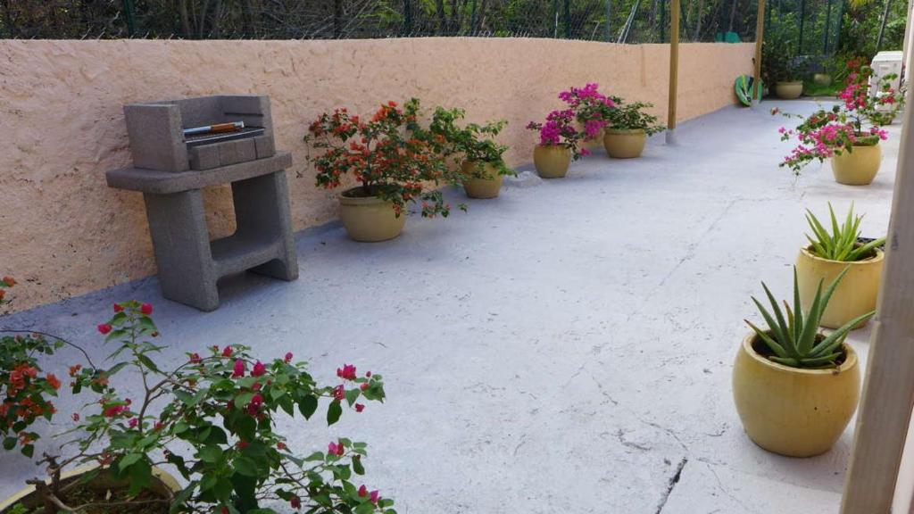 Zahrada ubytování Rose phoenix appartement terrasse et piscine vue mer