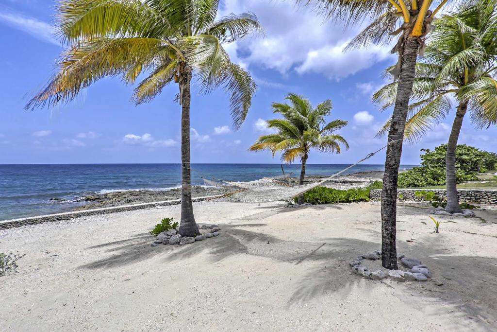 two palm trees on a beach with the ocean at Lovely Sea Dreams Villa with Private Beach and Deck! in Banksville