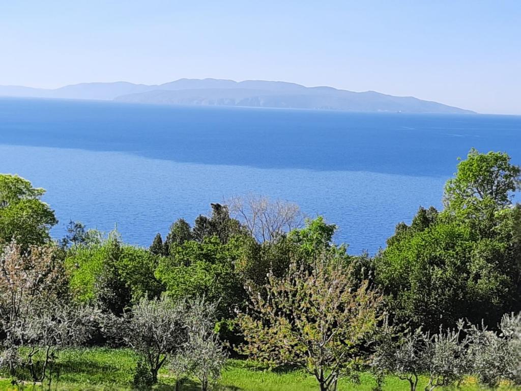 Príroda v okolí apartmánu