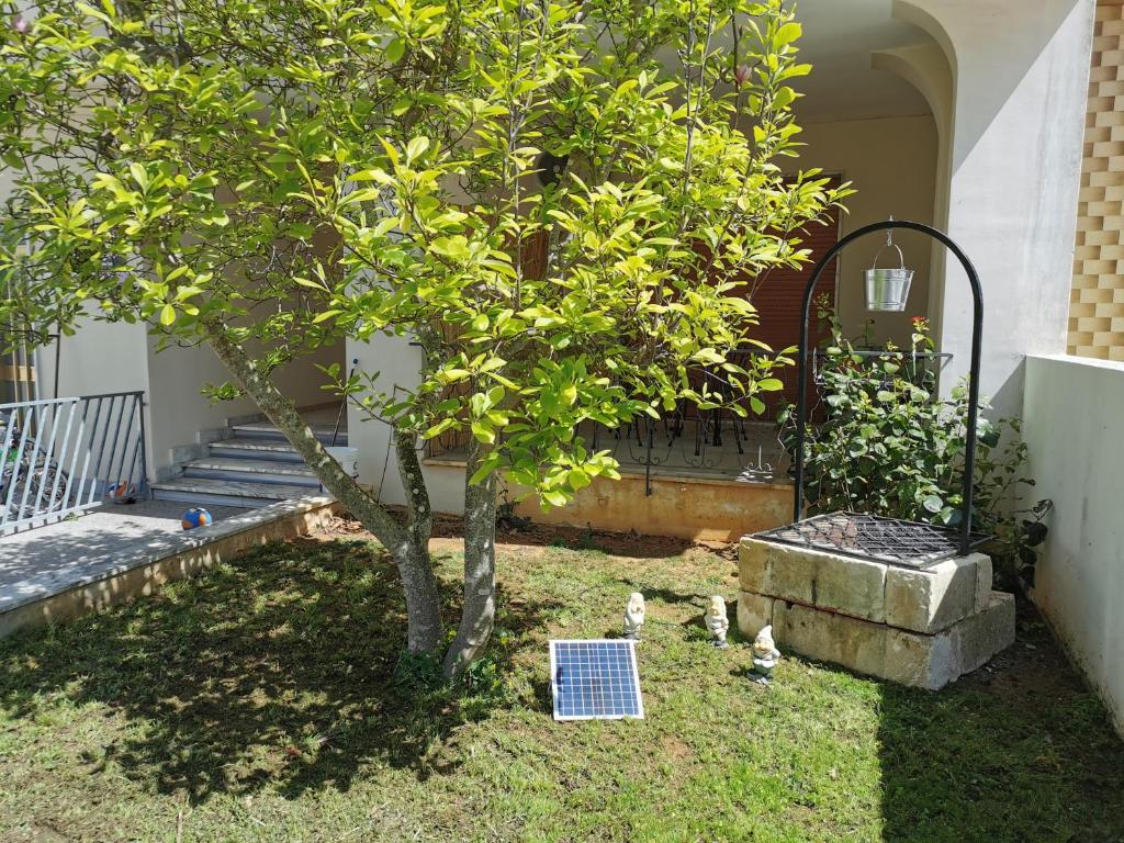Zahrada ubytování Magnolia