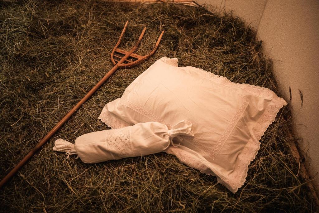 Fotografie z fotogalerie ubytování Hotel Dieschen v destinaci Lenzerheide