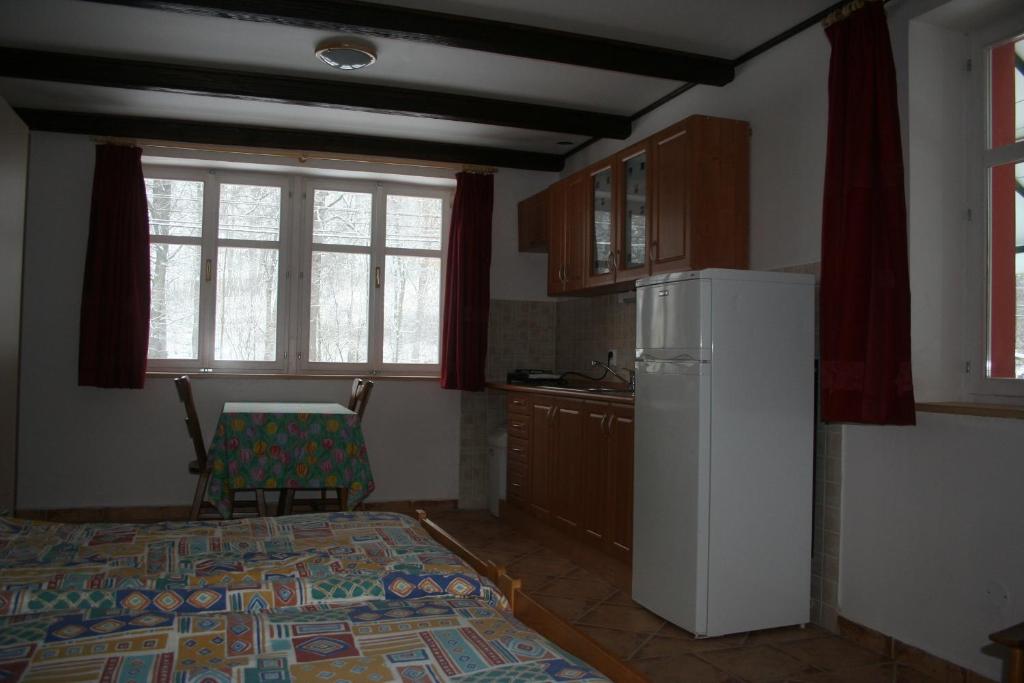 Kuchyň nebo kuchyňský kout v ubytování Holiday House Javornik