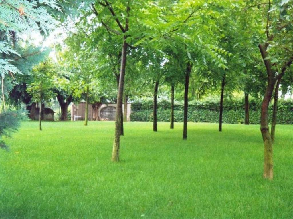 Vonkajšia záhrada v ubytovaní Agriturismo Corte Trincerone