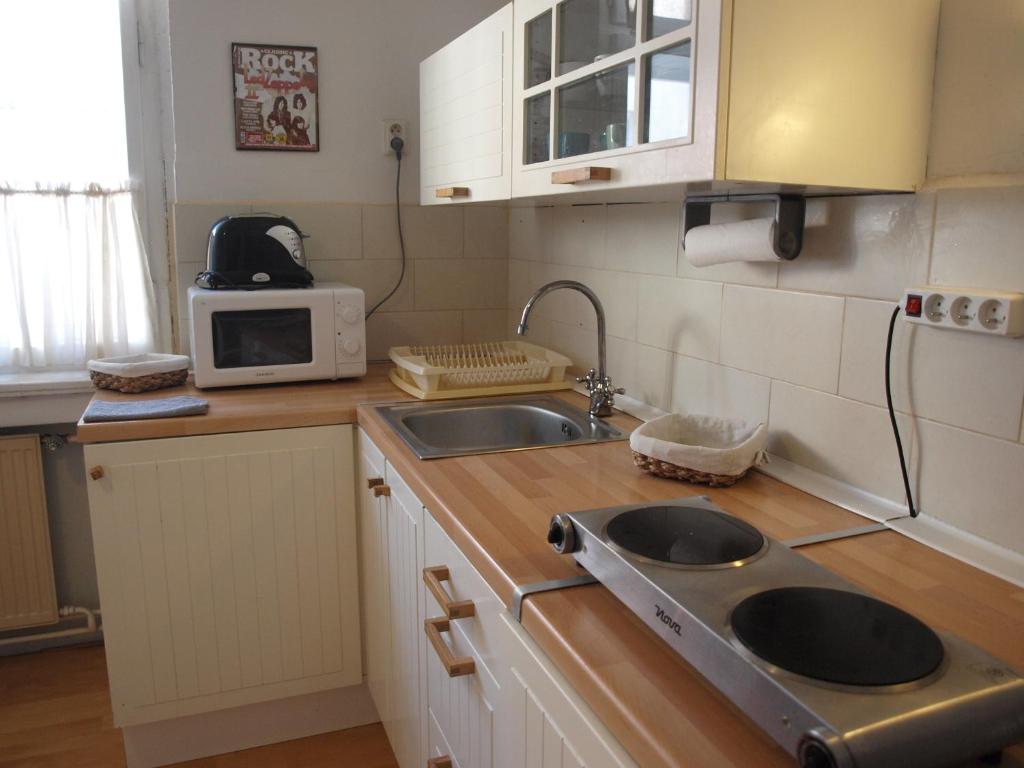 Kuchyň nebo kuchyňský kout v ubytování Apartmány Rossa
