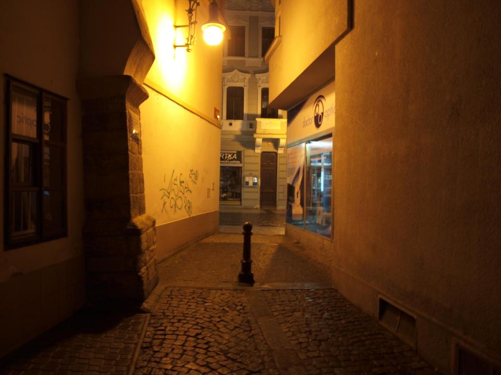 Fotografie z fotogalerie ubytování Apartmány Rossa v Lounech