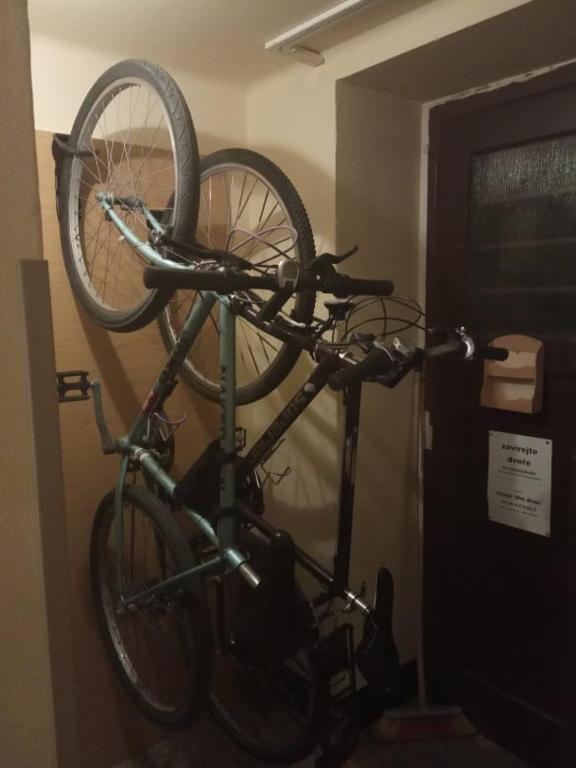 Jízda na kole v ubytování Apartmány Rossa nebo okolí