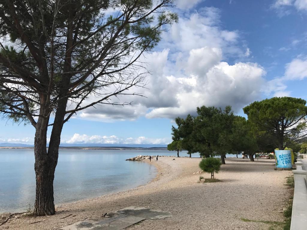 una spiaggia sabbiosa con alberi e acqua di Little villa Tony- Center 40m beach Crikvenica a Crikvenica