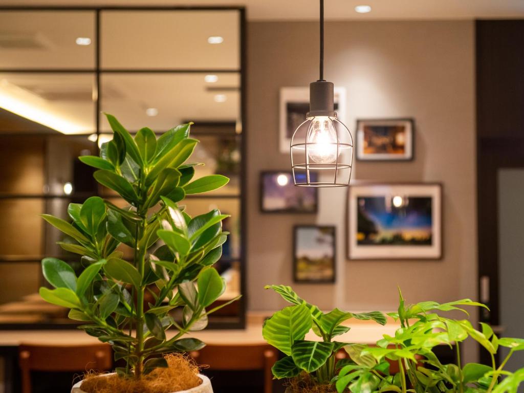Fotografie z fotogalerie ubytování Super Hotel Okayama Station Higashiguchi v destinaci Okajama