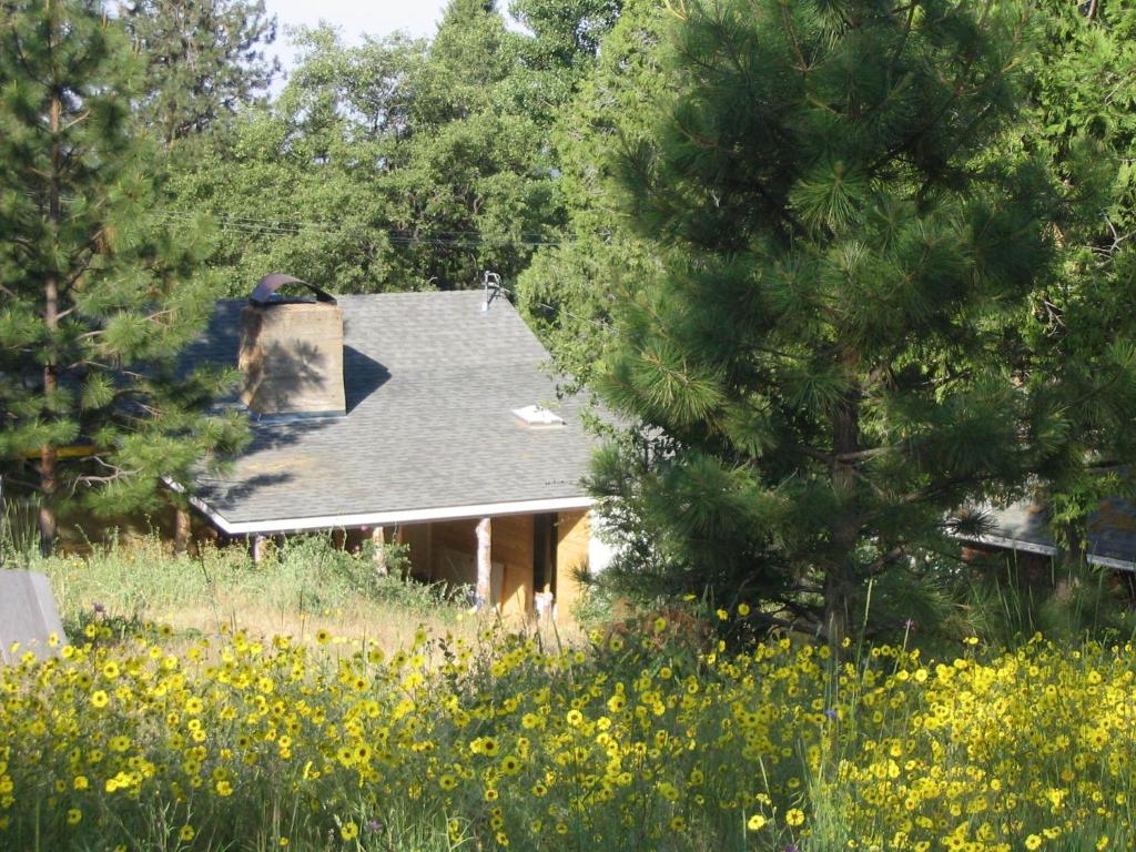Zahrada ubytování Fivespot Cabin