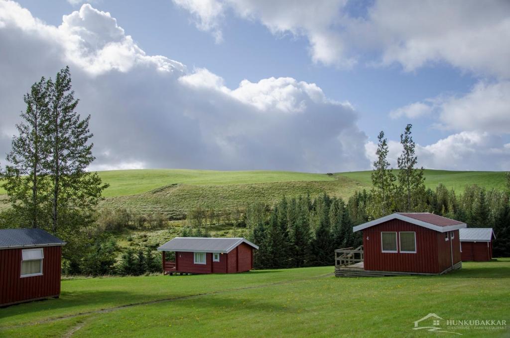 two red cabins in a grassy field with at Hunkubakkar Guesthouse in Kirkjubæjarklaustur