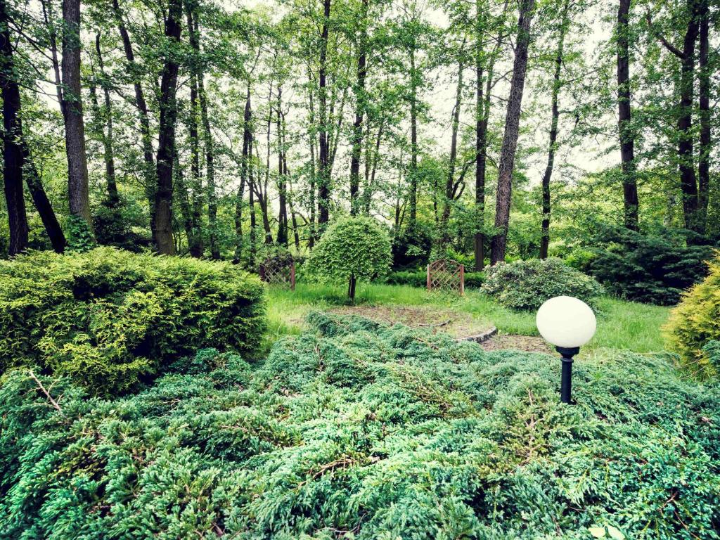 a street light in the middle of a forest at Mercure Gdańsk Posejdon in Gdańsk