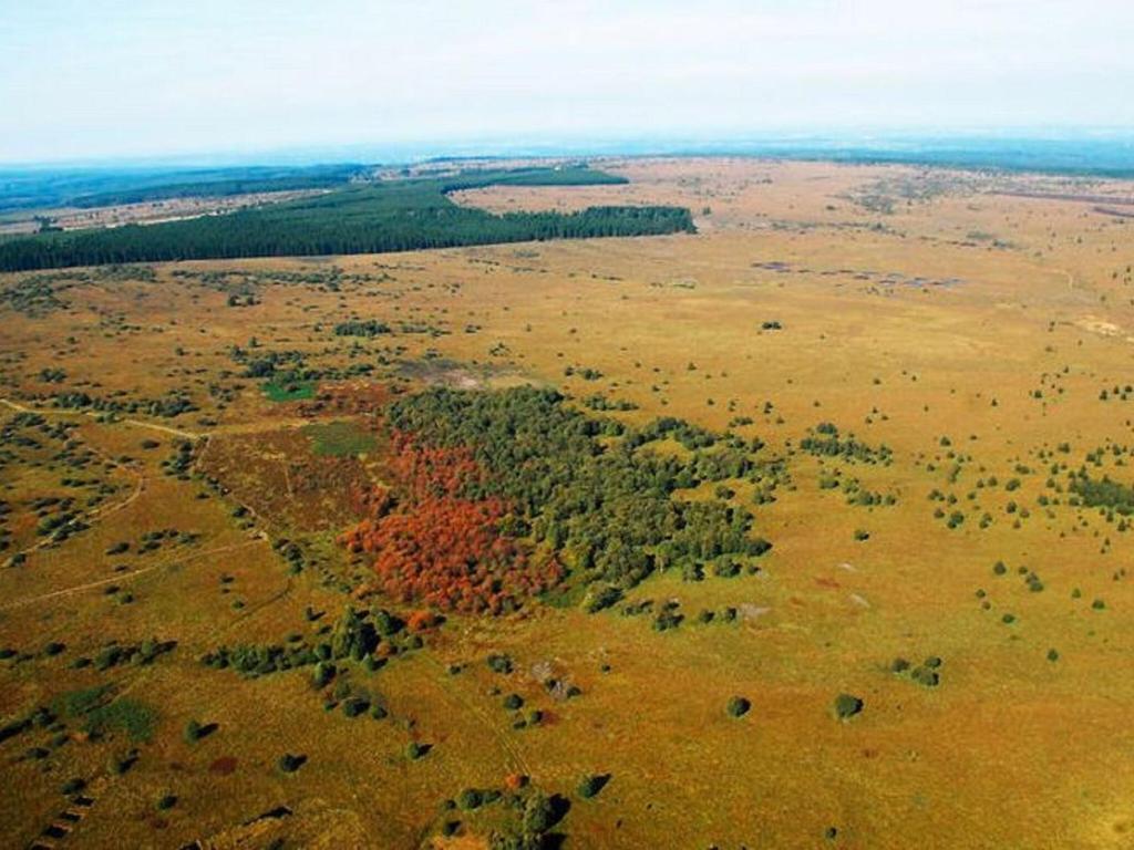 Příroda nedaleko vily