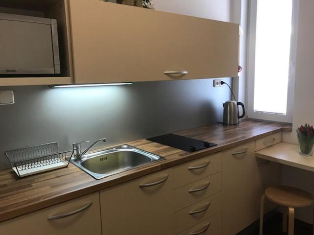 Kuchyň nebo kuchyňský kout v ubytování Apartmán Innova