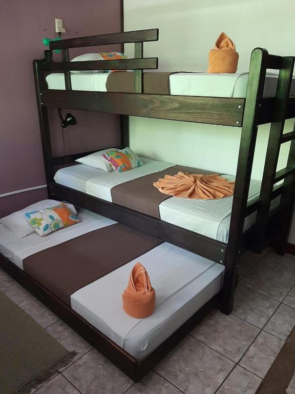 Postel nebo postele na pokoji v ubytování Aracari Garden Hostel