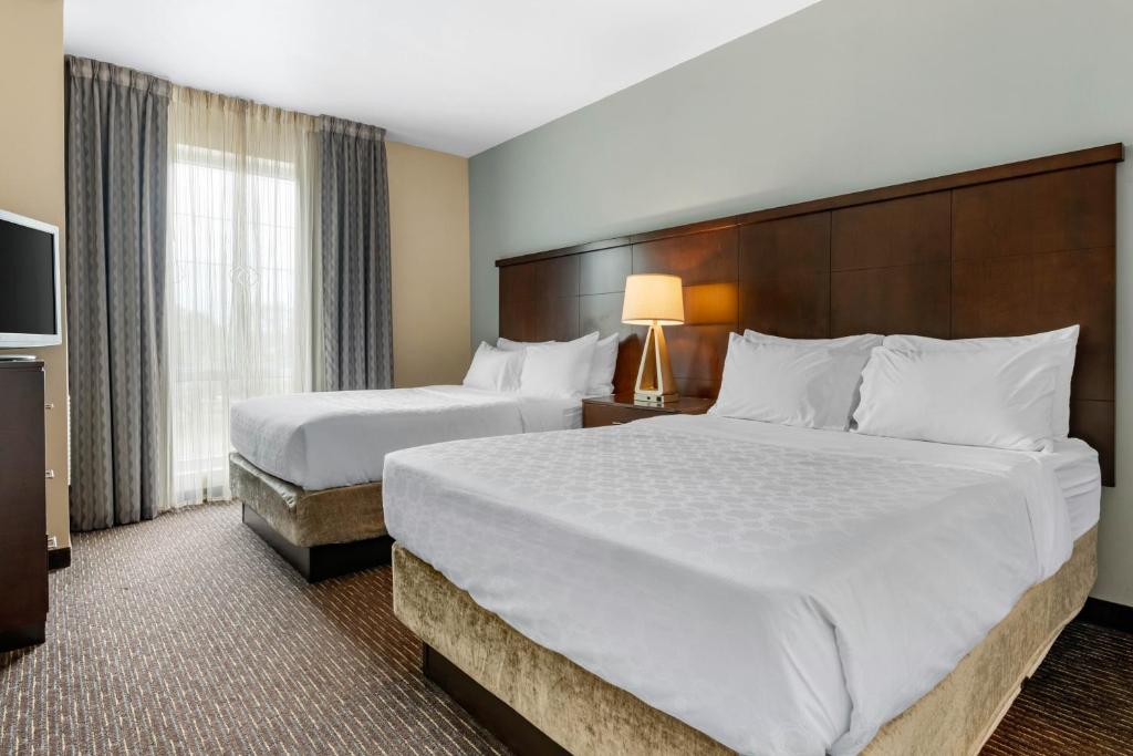 Staybridge Suites St. Petersburg FL by IHG photo