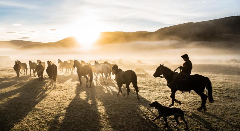 a man riding a horse with a dog in a field at Río Serrano Hotel + Spa in Torres del Paine