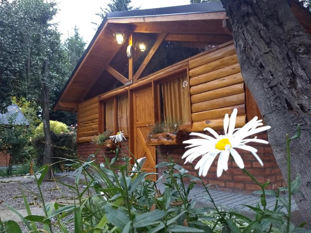 a white flower sitting next to a wooden building at Cabañas del Bosque Bariloche in San Carlos de Bariloche