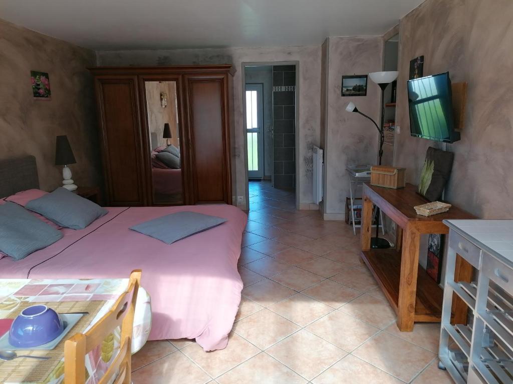a bedroom with a bed and a desk and a television at La Picholine in Sorède