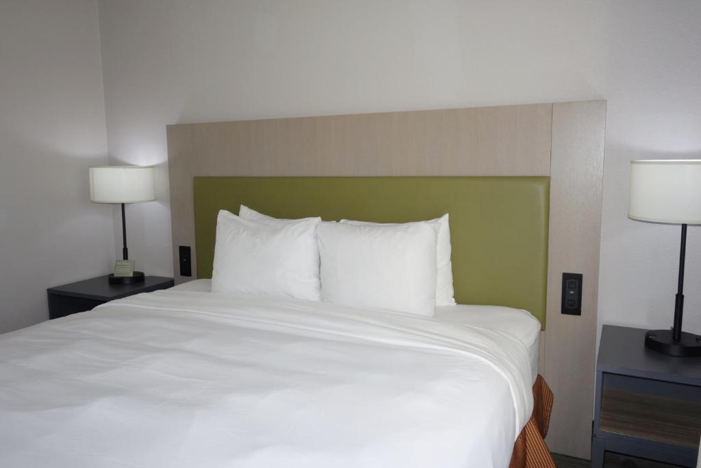 Country Inn & Suites by Radisson, Round Rock, TX - Suite De Un Dormitorio Con Cama King