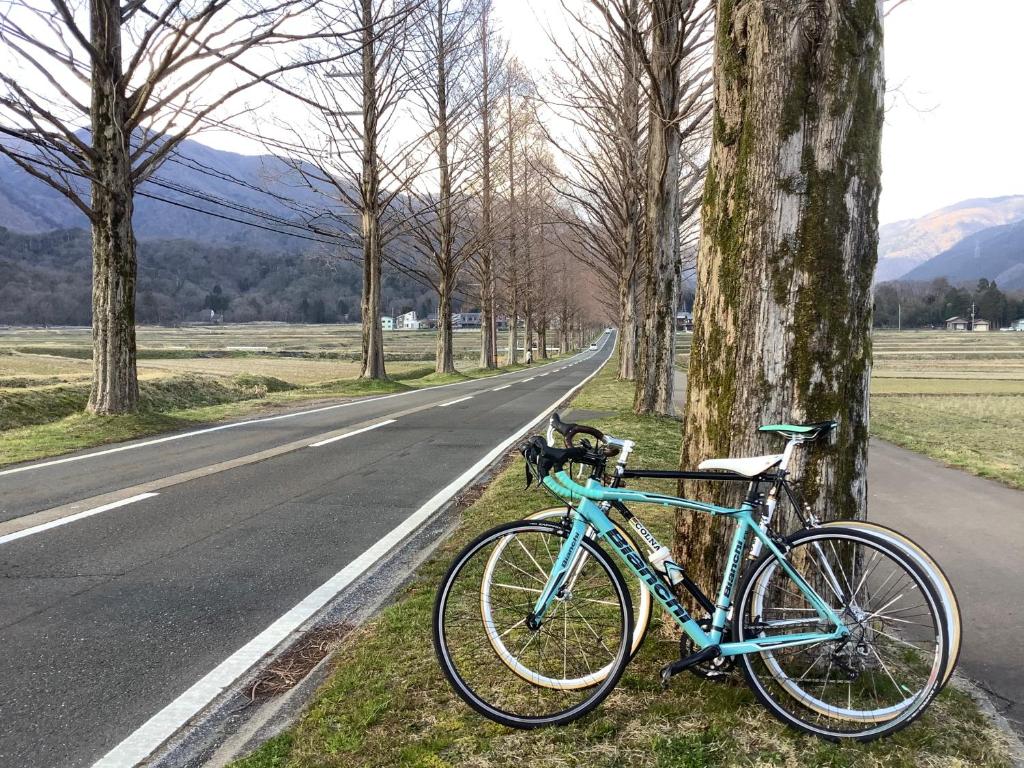 booking.com genius 自転車