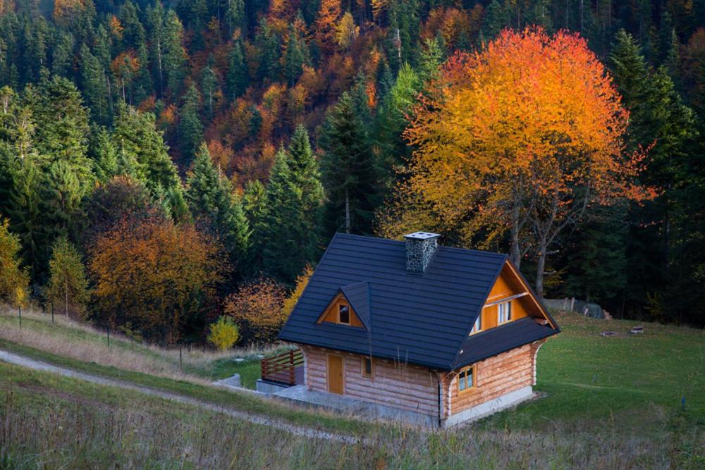 Príroda v okolí horskej chaty