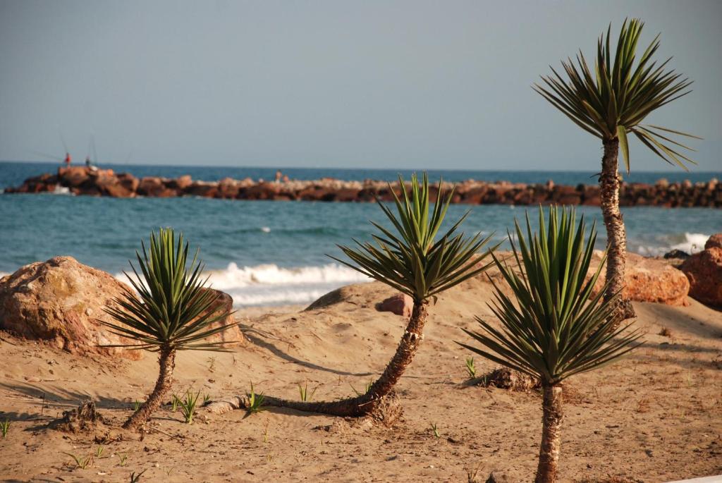 Hotel Casbah, El Puig – Prezzi aggiornati per il 2023