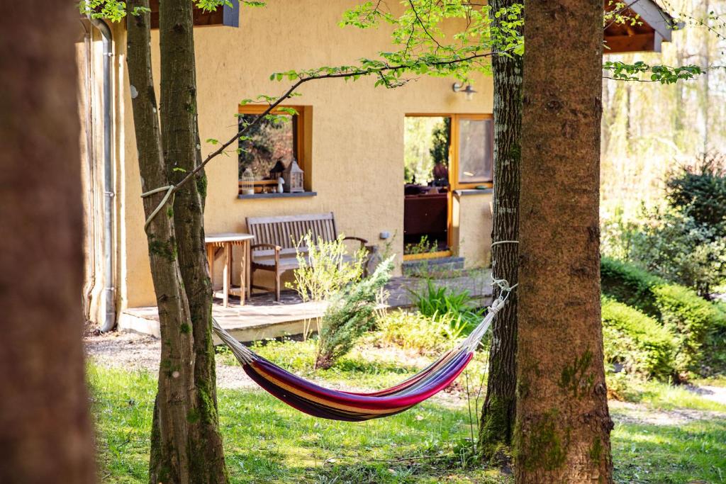 Zahrada ubytování Villa Waldeslust