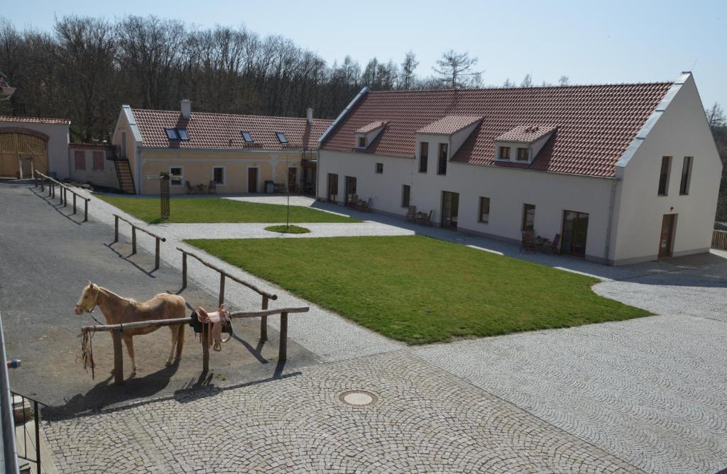 Zvieratá na farme alebo blízkom okolí