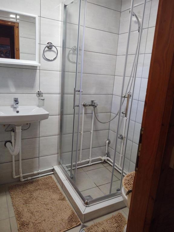 a bathroom with a shower and a sink at Dedinski Raj in Golubac