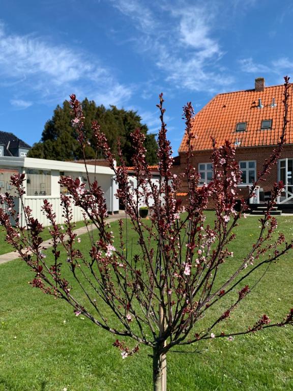 un árbol con flores púrpuras en un patio en H. C. Lumbyes Vej - kælderlejlighed, en Odense