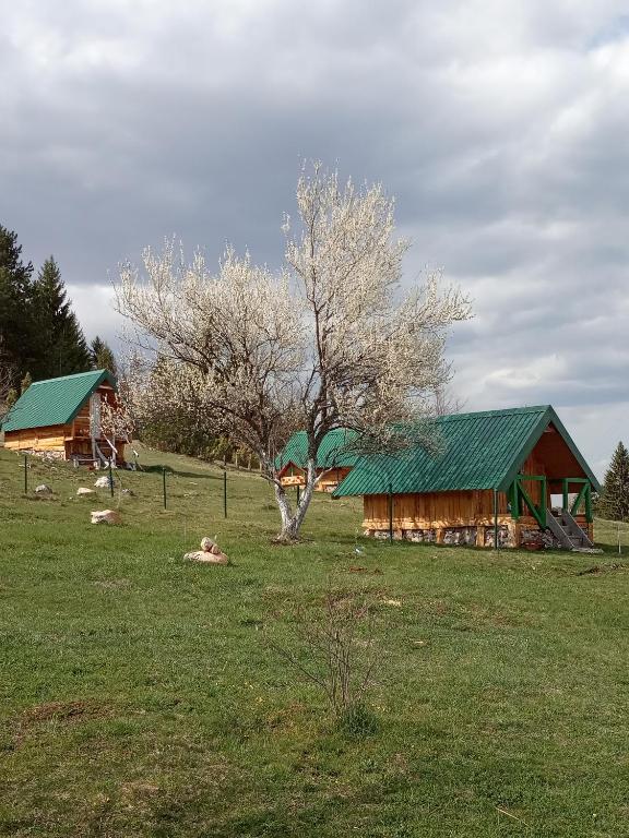 Fotografie z fotogalerie ubytování Bungalovi Mijakovici v destinaci Pljevlja
