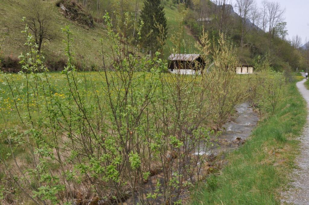 Příroda nedaleko apartmánu