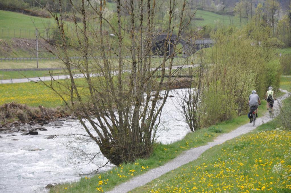 Příroda nedaleko apartmánu