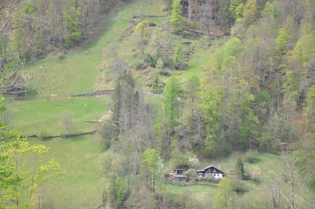 Příroda nedaleko apartmánu