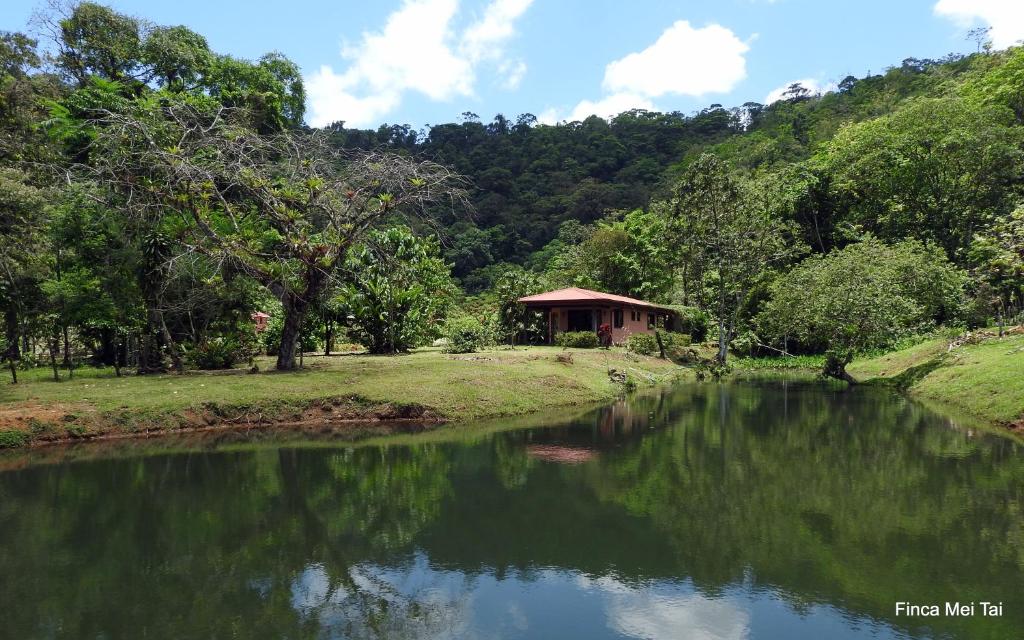 Mei Tai Cacao Lodge, Bijagua – Tarifs 2024