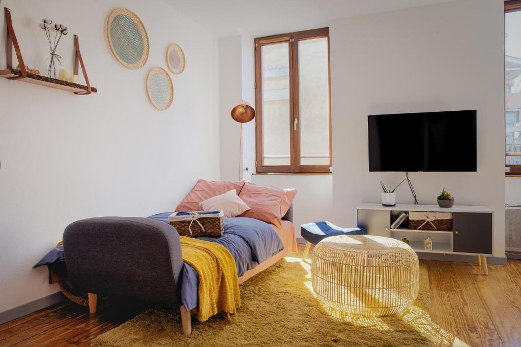 uma sala de estar com um sofá e uma televisão em Duplex lumineux 2 chambres centre zone piétonne em Valence