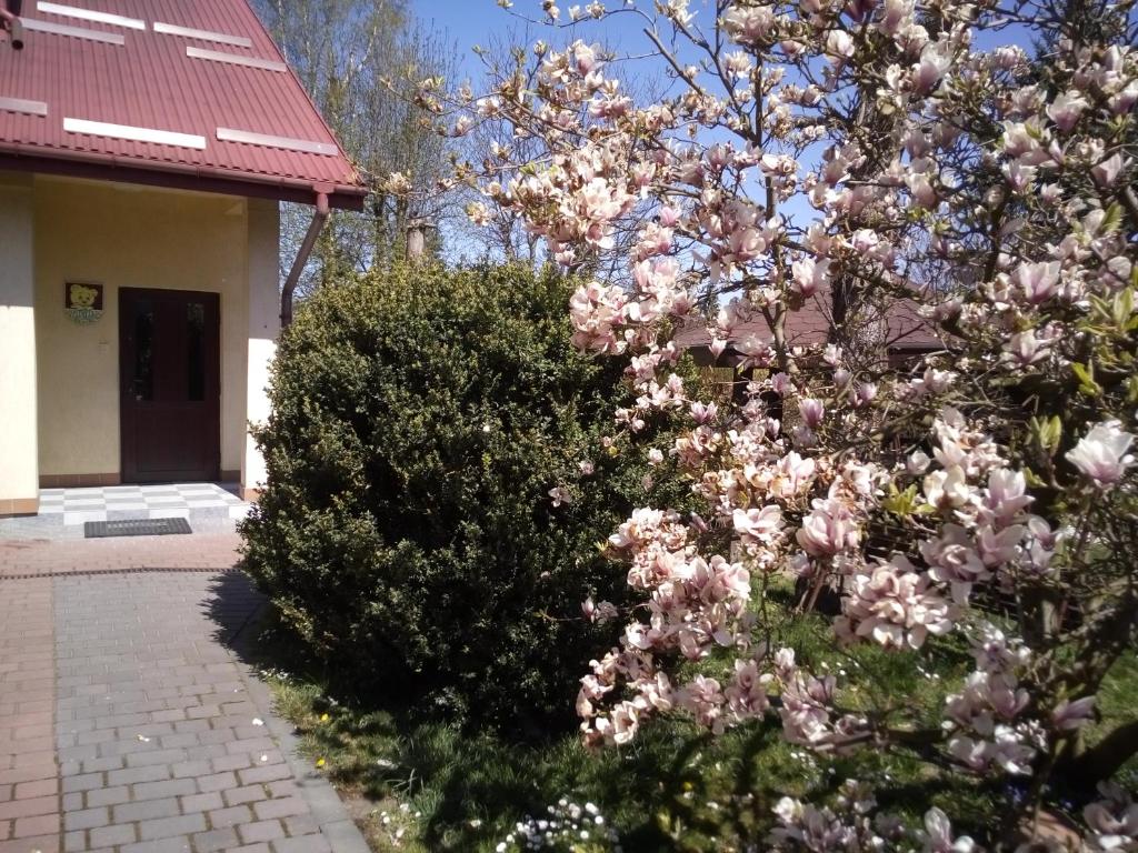 Apartamenty i pokoje Pluszak - 2