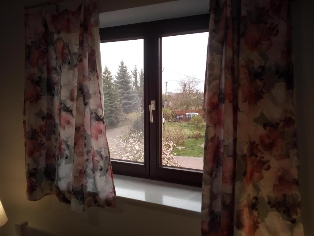 Apartamenty i pokoje Pluszak - 18