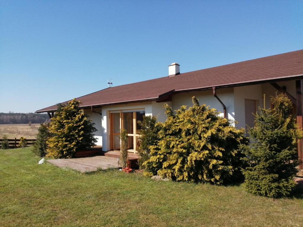 a house with trees in front of it at Słonecznikowa Zagroda in Debina