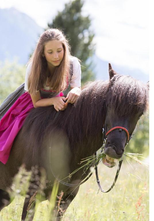 Zvířata v penzionu nebo okolí