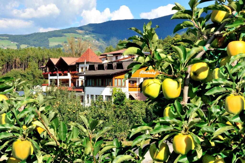 Nespecifikovaný výhled na hory nebo výhled na hory při pohledu z hotelu