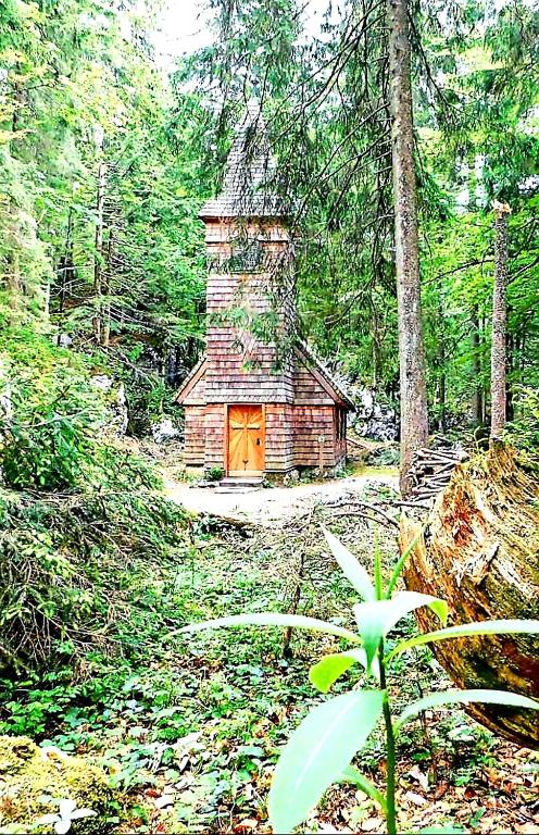 Příroda nedaleko apartmánu